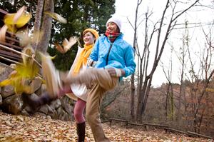 富田林で探す安心で低価格の車検