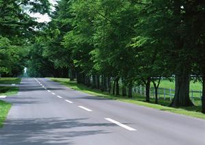 稲沢市で新古車を手に入れるには