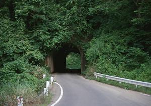 ガラスコーティングで愛車を守ろう