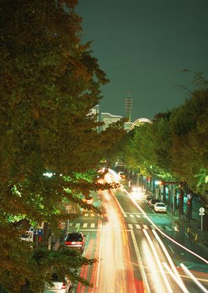 夏休みを利用して取得する合宿免許