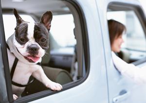 高まる岐阜のカーコーティング人気