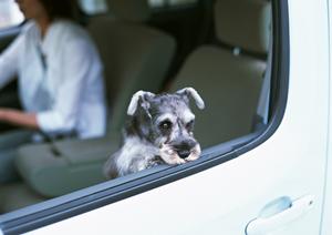 自動車整備のニーズが急拡大する時代