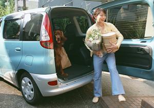 【山口県下松市の信頼のトヨタ販売店】 Felix88 トヨタカローラ山口 下松望町店の魅力とサービス紹介